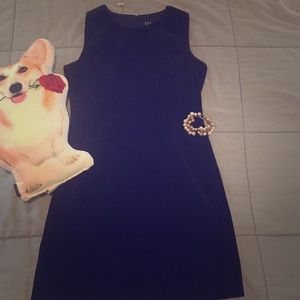 EUC GAP Velvet Shift Dress size 6